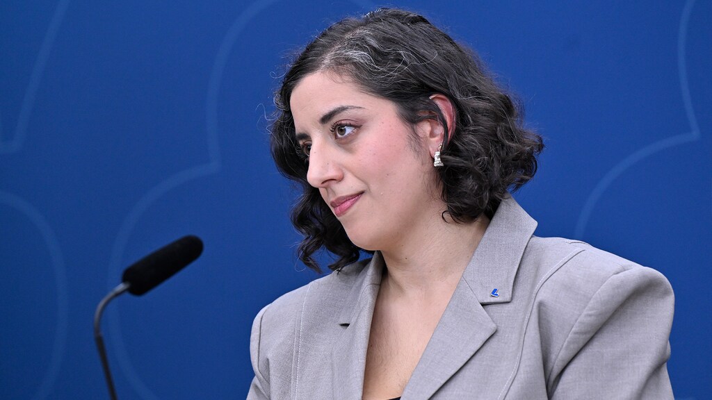 Klart: L säger nej till SD i regering