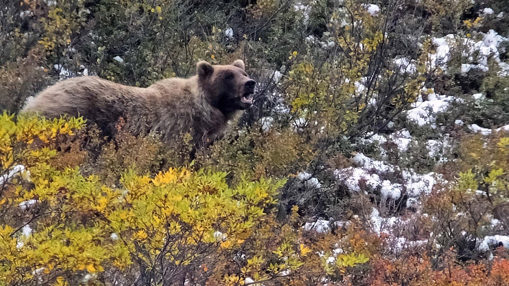 Skolklass : ce qu'il faut savoir — image 5