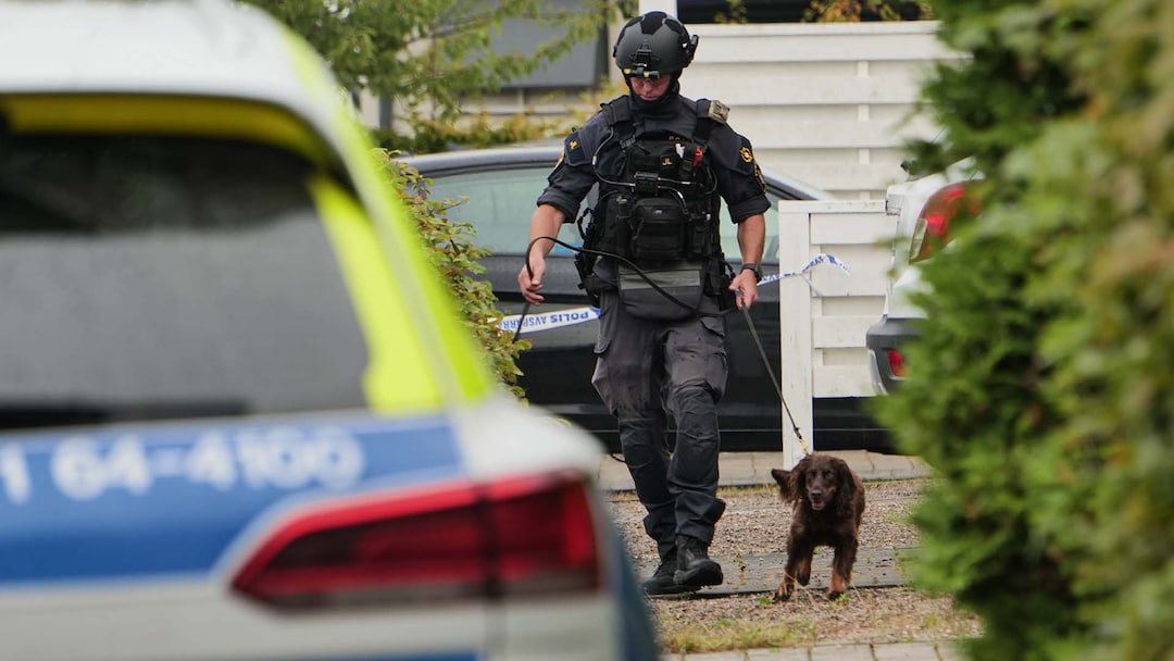 Kvivmordet i Kramfors: Vapnet stals på Dollarstore
